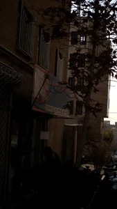 خدمات فنی نوین
