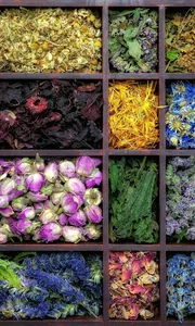 Cheshm_Andaz Supermarket