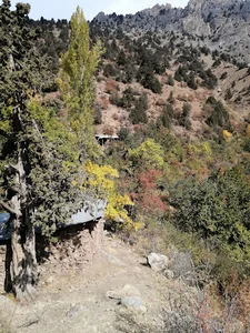 اویزر کوه