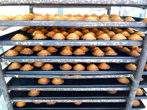 نان فانتزی پاژ 5