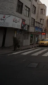 گیاهان دارویی شفا 3