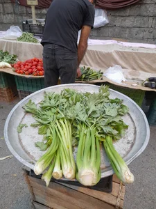 چهارشنبه بازار ساداتشهر