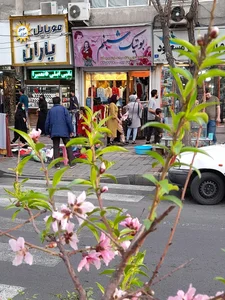 بوتیک شبنم 2