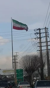 گروه مشاورین املاک مجد