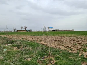 مزرعه یومورداش