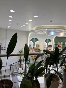 شیرینی زانسو