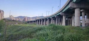 چمران پل مدیریت
