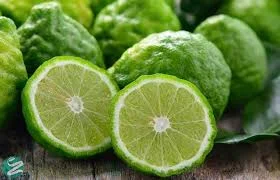 روغن گیری و محصولات طبیعی ترنج