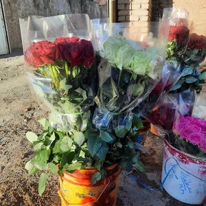 مزرعه مصطفائی
