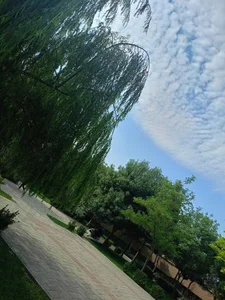 بوستان بانوان 5