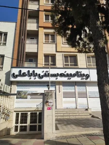 ویتامینه بستنی بابا علی 5