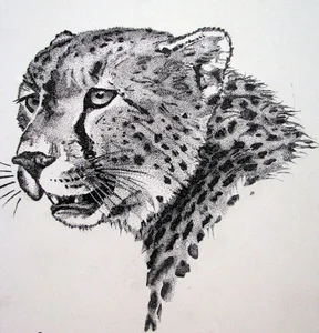 یوزپیام اسیا