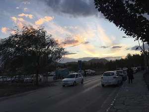 بیشه ناژوان