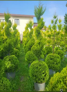 باغ گل و گیاه دادمهر