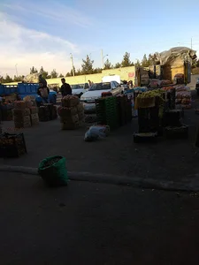 بازار ميوه و تره بار دامغان
