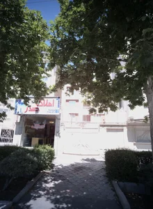 املاک صدر