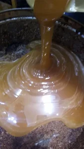 کلبه عسل زند 3