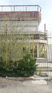 کفش پاتوس