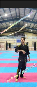 آموزش نانچیکو