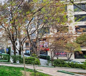 بوستان دستور