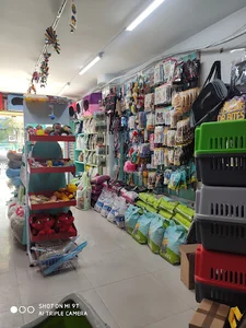 پت شاپ کیتی