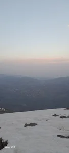 شاخه خواره کانیه رش