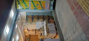 پخش تخم مرغ