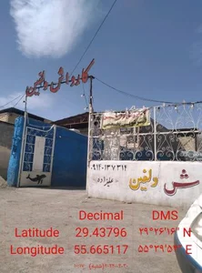 کارواش دلفین