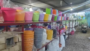 گلفروشی بهارستان