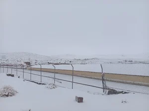 شرکت کشت و صنعت صفاهان(فارم4)