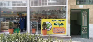 محصولات ارگانیک جوانه 5