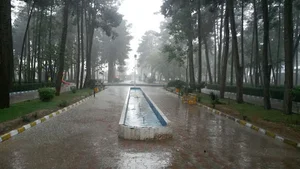 افق کوروش