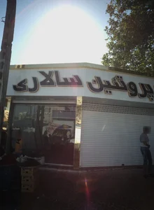 پروتئین سالاری