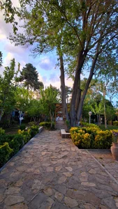 رستوران سه کاج 5