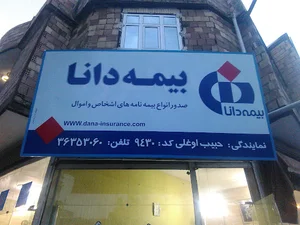 دانا انشورنس