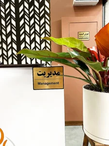رستوران اکبر جوجه لشکری 5