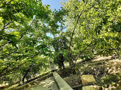 باغ ویلا مروتی