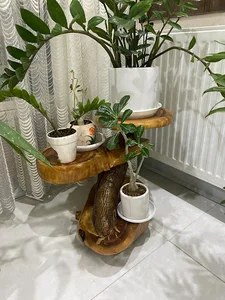عمارت و کارگاه تولیدی ادیبی