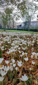 بوستان اندیشه 4