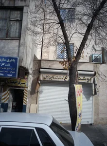 گوشت مرغ