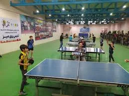 آکادمی پینگ پنگ حبیب طلب