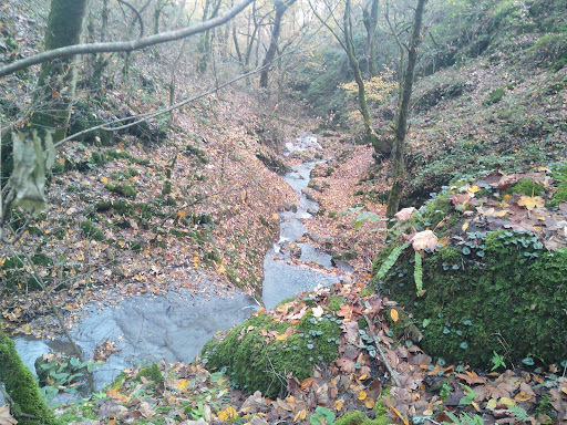 آژانس کشلی