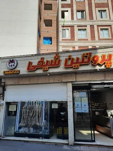 پروتئین شیخی