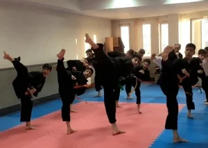 حسن گلپور آموزش فنون رزمی