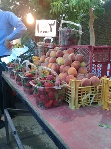 سوپر سبزی ومیوه فروشی طلا