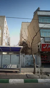 دکتر مریم ملک زاده 3