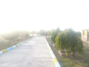 بلوار دانش دانشگاه پیام نور مرکز بیرجند