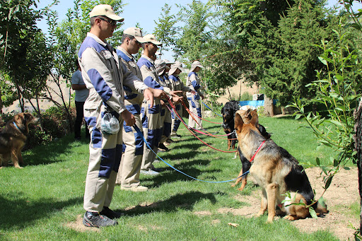 گروه کار SK9