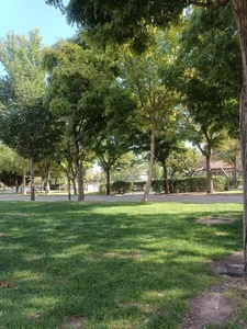 بوستان پامچال 4