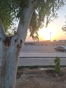 بوستان مهر ملل